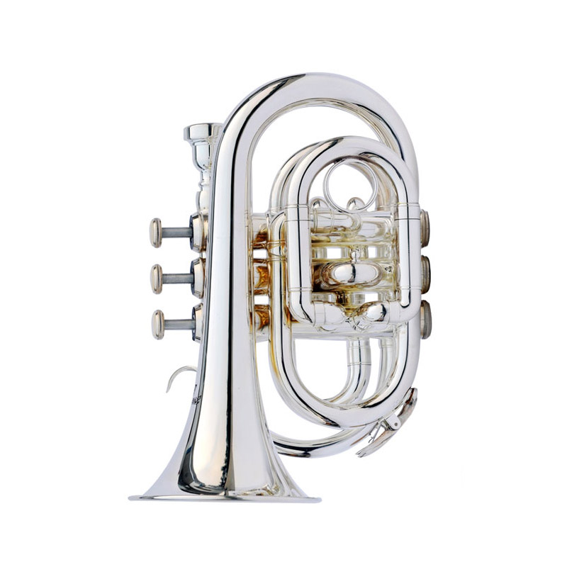 Low price Pocket Trumpet Wholesale Price