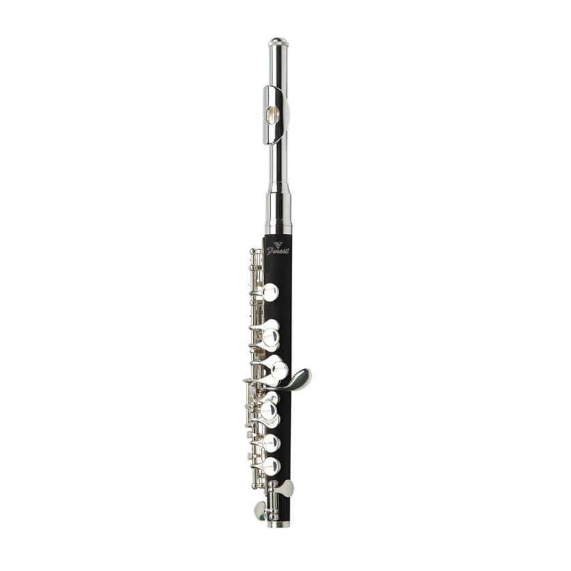 customized ABS piccolo from China manufacturer